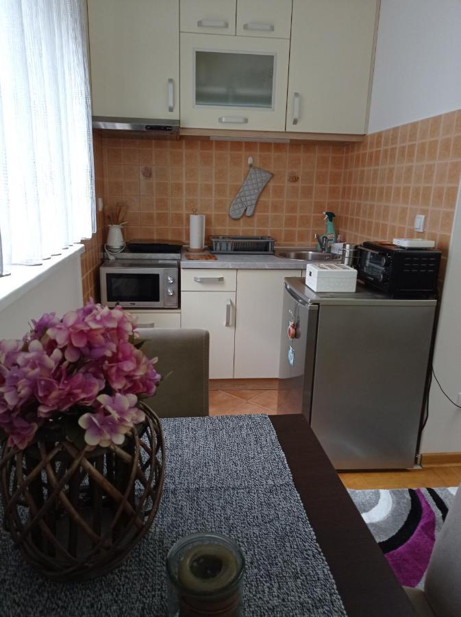 Apartman Harmonija Vrnjačka Banja المظهر الخارجي الصورة