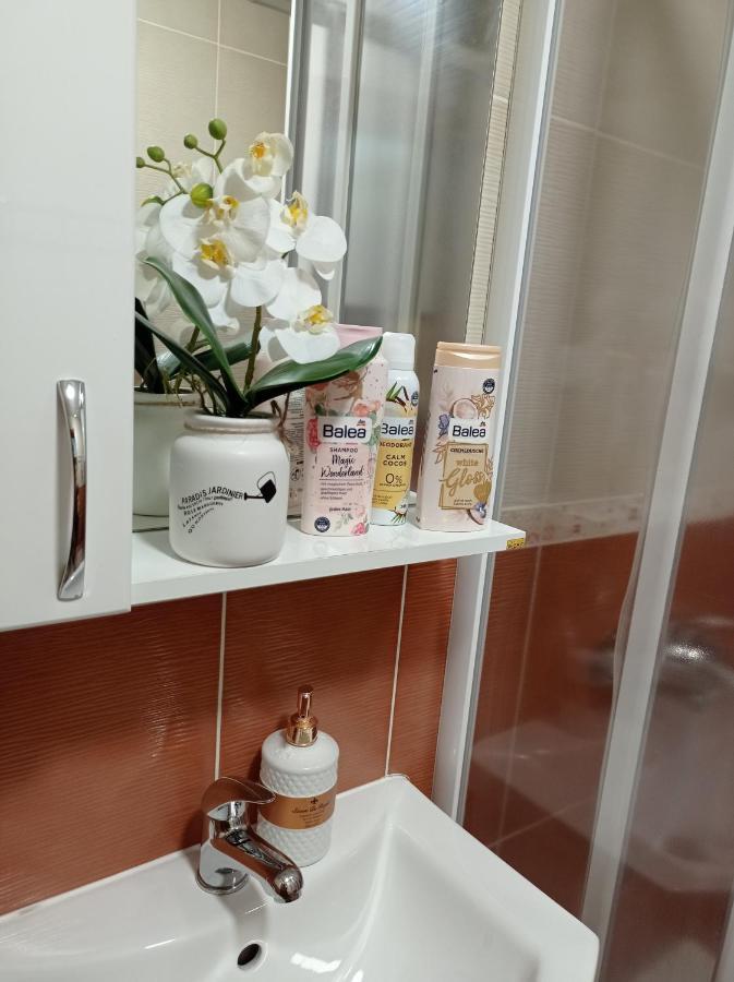 Apartman Harmonija Vrnjačka Banja المظهر الخارجي الصورة