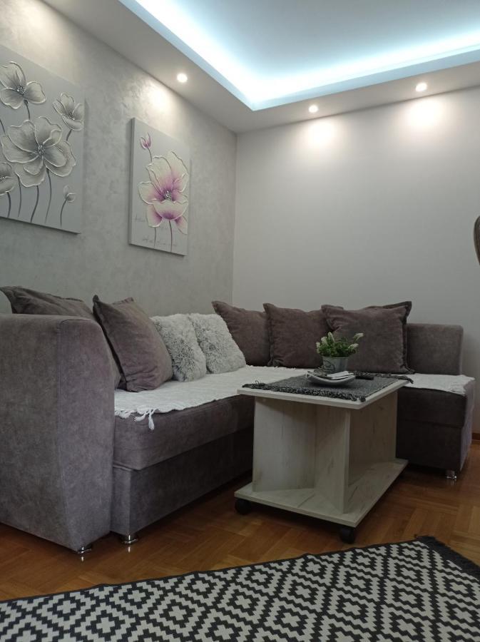 Apartman Harmonija Vrnjačka Banja المظهر الخارجي الصورة