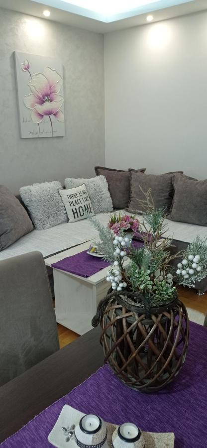 Apartman Harmonija Vrnjačka Banja المظهر الخارجي الصورة