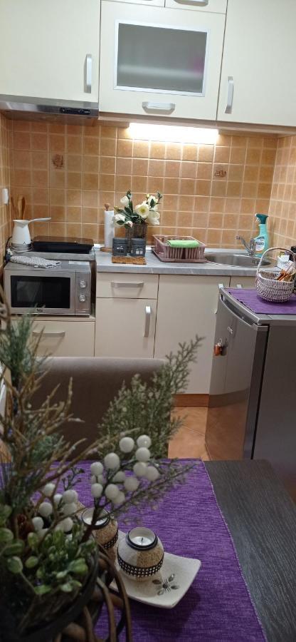 Apartman Harmonija Vrnjačka Banja المظهر الخارجي الصورة