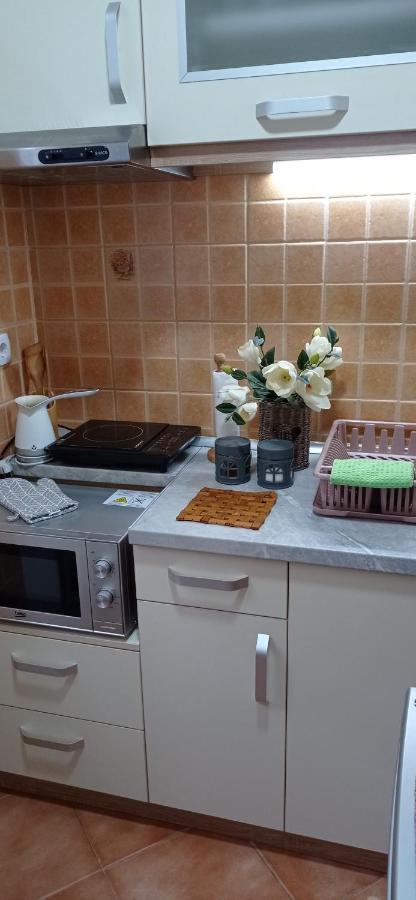 Apartman Harmonija Vrnjačka Banja المظهر الخارجي الصورة