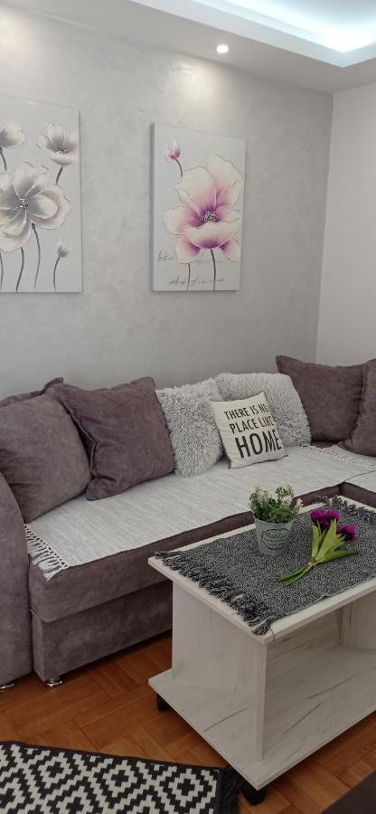 Apartman Harmonija Vrnjačka Banja المظهر الخارجي الصورة