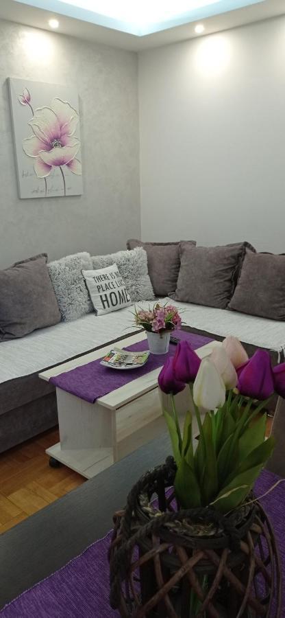 Apartman Harmonija Vrnjačka Banja المظهر الخارجي الصورة