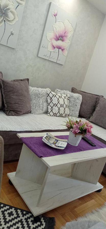 Apartman Harmonija Vrnjačka Banja المظهر الخارجي الصورة