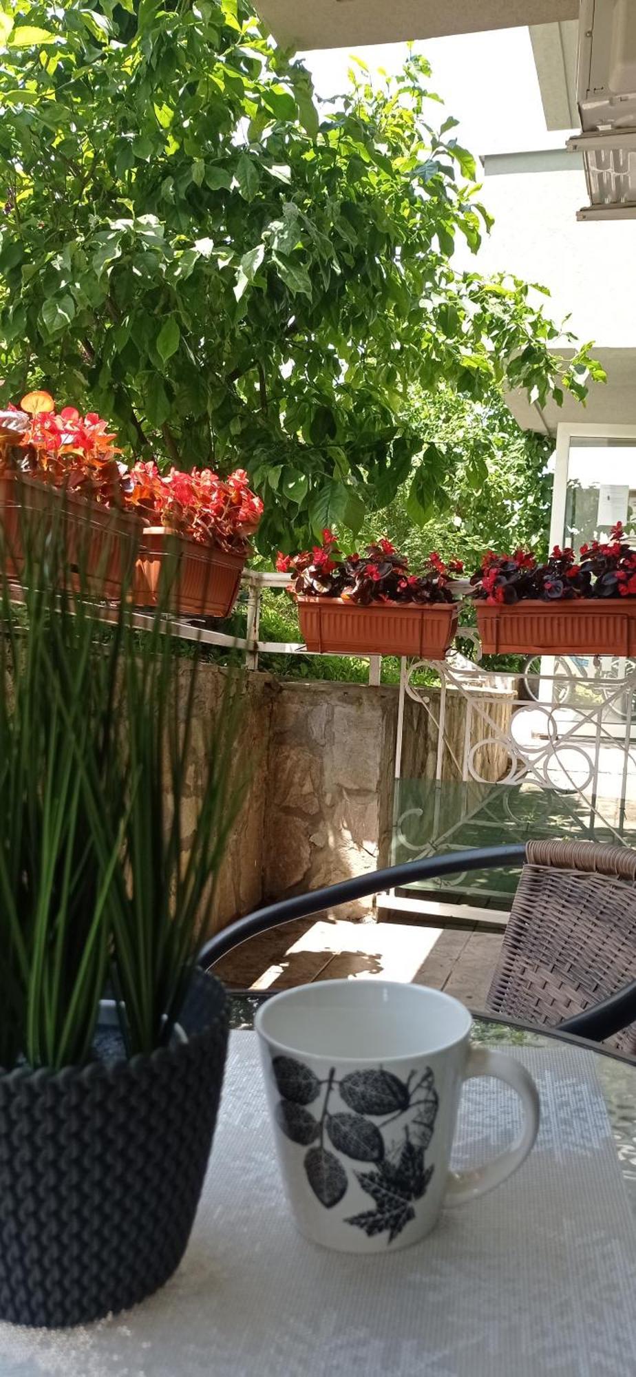Apartman Harmonija Vrnjačka Banja المظهر الخارجي الصورة